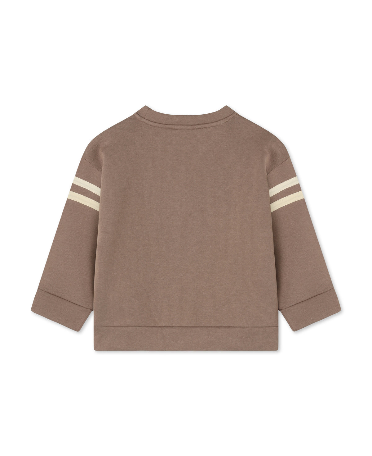 Alvin Cool Sweatshirt in Pine Bark, back view with cream sleeve stripes