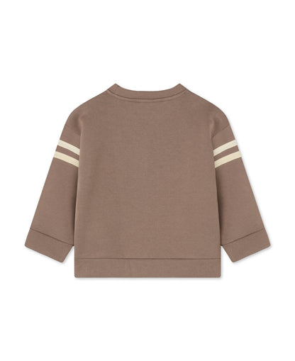 Alvin Cool Sweatshirt in Pine Bark, back view with cream sleeve stripes