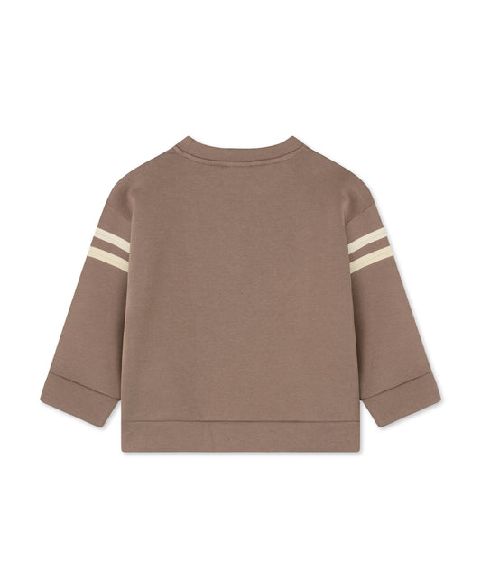 Alvin Cool Sweatshirt in Pine Bark, back view with cream sleeve stripes